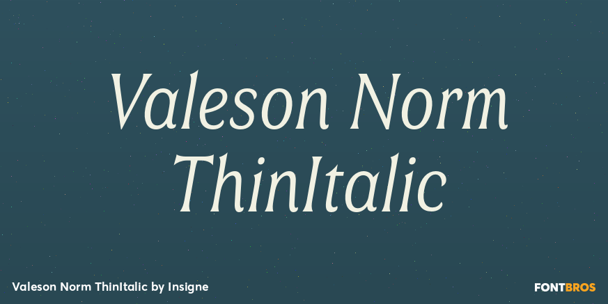 Valeson Norm ThinItalic Poster