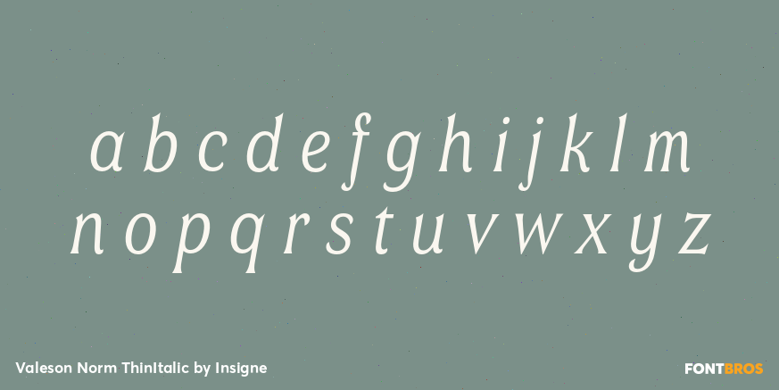 Valeson Norm ThinItalic Font Poster #3
