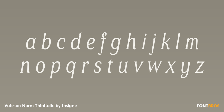 Valeson Norm ThinItalic Font Poster #1