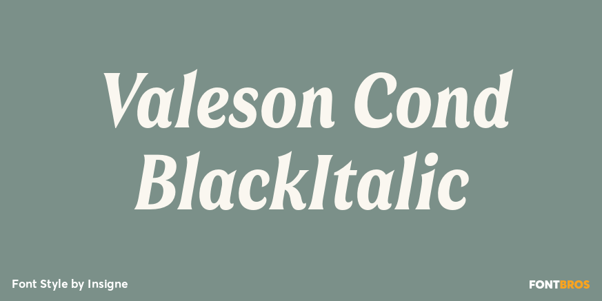 Valeson Cond BlackItalic Font Poster #1