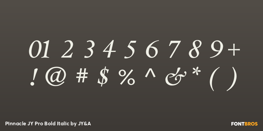 Pinnacle JY Pro Bold Italic Font Poster #1
