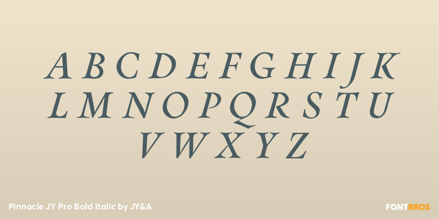 Pinnacle JY Pro Bold Italic Font Poster #1
