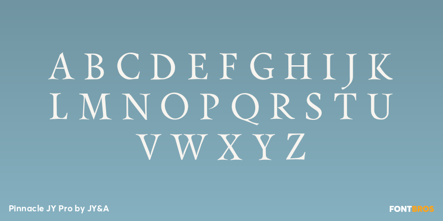 Pinnacle JY Pro Font Poster #2