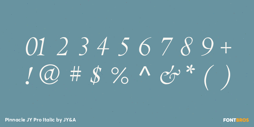 Pinnacle JY Pro Italic Font Poster #1