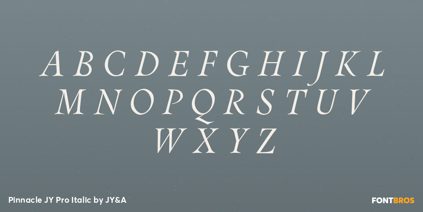 Pinnacle JY Pro Italic Font Poster #1