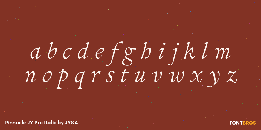 Pinnacle JY Pro Italic Font Poster #1