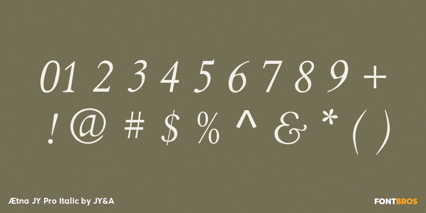 Ætna JY Pro Italic Font Poster #1