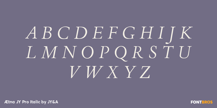 Ætna JY Pro Italic Font Poster #1