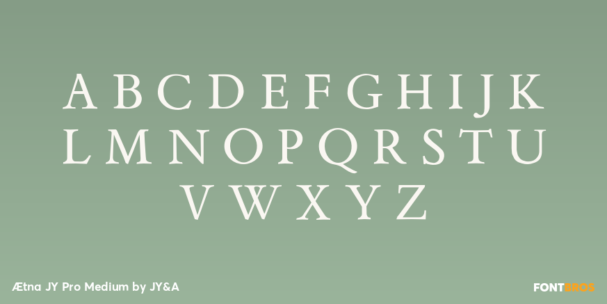Ætna JY Pro Medium Font Poster #2