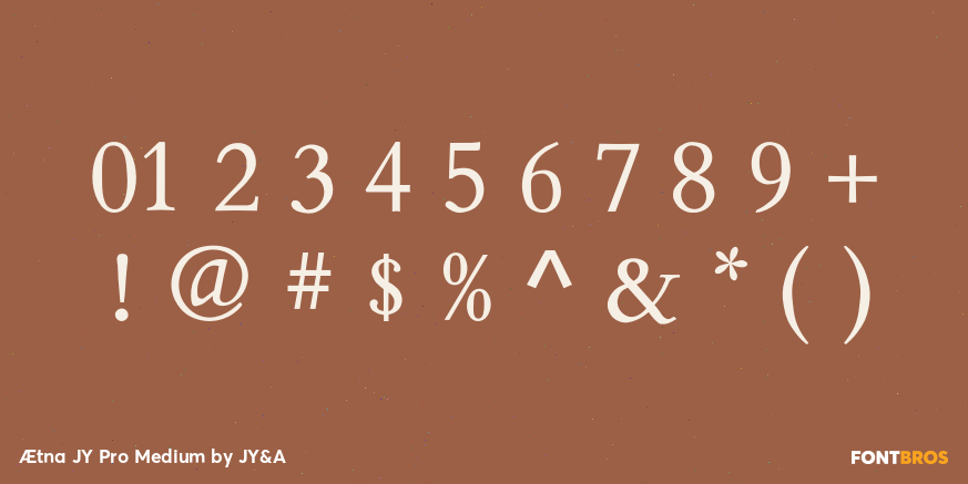 Ætna JY Pro Medium Font Poster #4