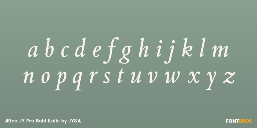 Ætna JY Pro Bold Italic Font Poster #3
