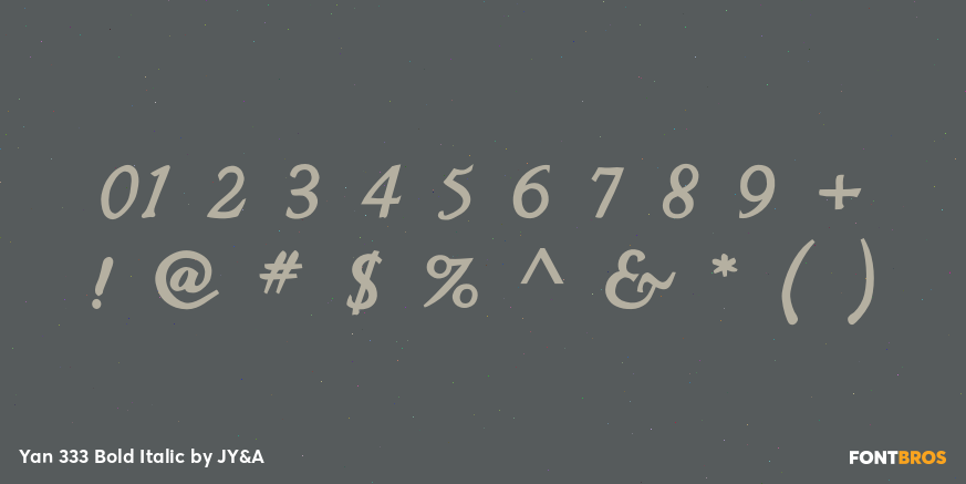 Yan 333 Bold Italic Font Poster #1