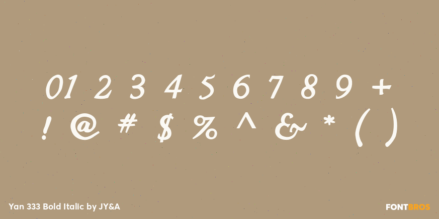 Yan 333 Bold Italic Font Poster #4