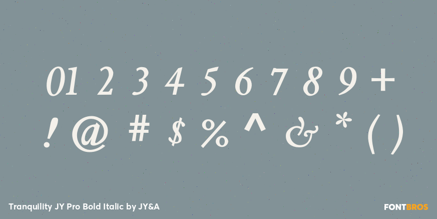 Tranquility JY Pro Bold Italic Font Poster #1