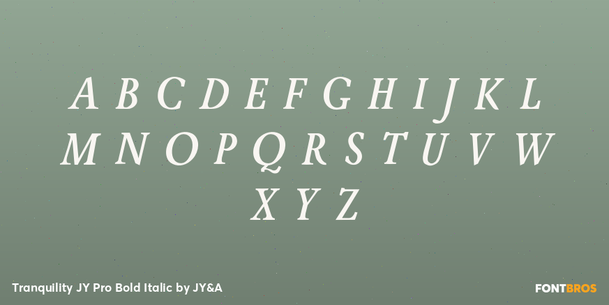 Tranquility JY Pro Bold Italic Font Poster #2