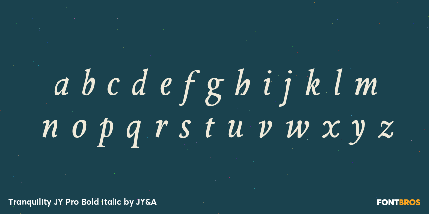 Tranquility JY Pro Bold Italic Font Poster #3