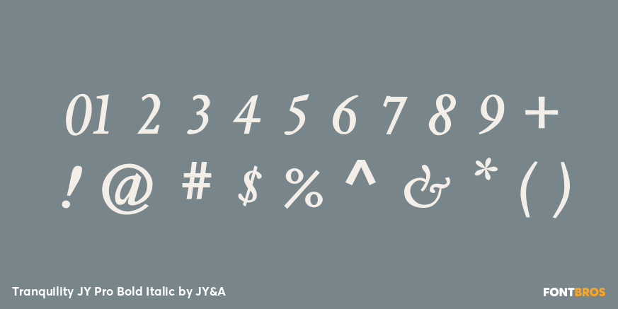 Tranquility JY Pro Bold Italic Font Poster #4