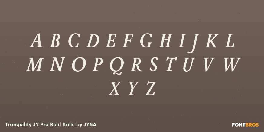 Tranquility JY Pro Bold Italic Font Poster #1