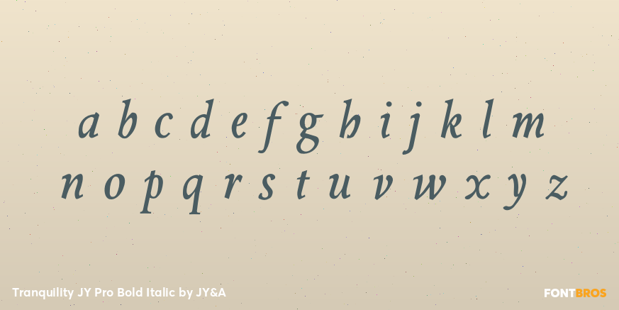 Tranquility JY Pro Bold Italic Font Poster #1
