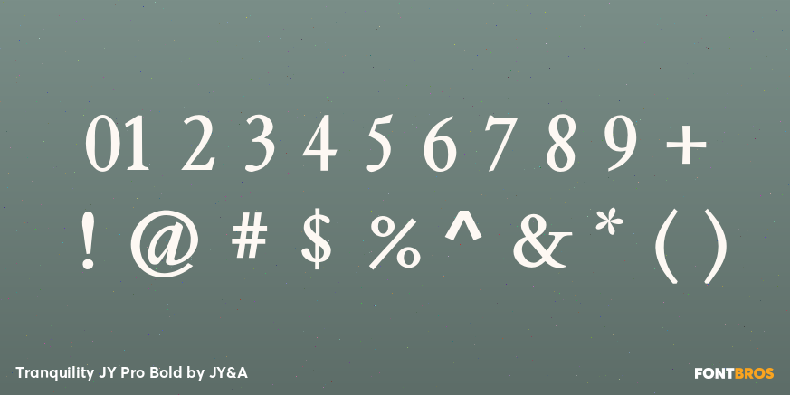 Tranquility JY Pro Bold Font Poster #1