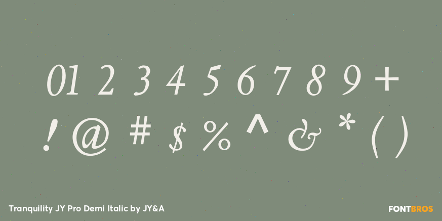 Tranquility JY Pro Demi Italic Font Poster #1