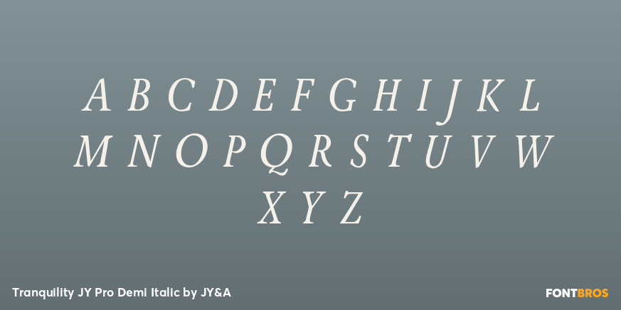 Tranquility JY Pro Demi Italic Font Poster #2