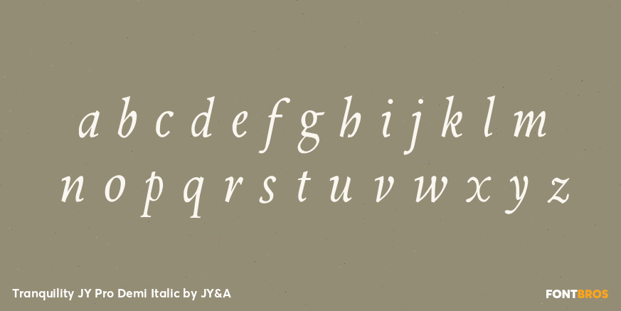 Tranquility JY Pro Demi Italic Font Poster #1