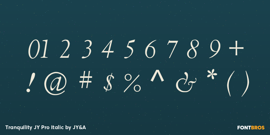 Tranquility JY Pro Italic Font Poster #1