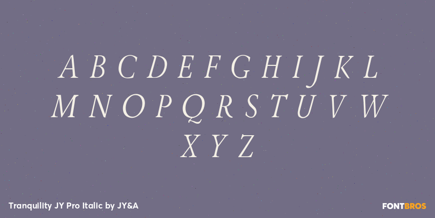 Tranquility JY Pro Italic Font Poster #1