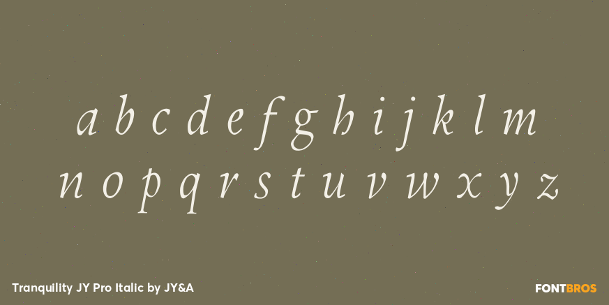 Tranquility JY Pro Italic Font Poster #1