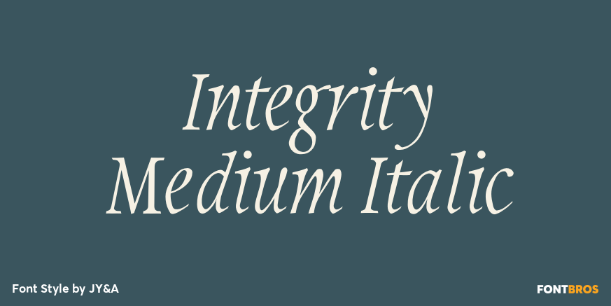 Integrity Medium Italic Poster