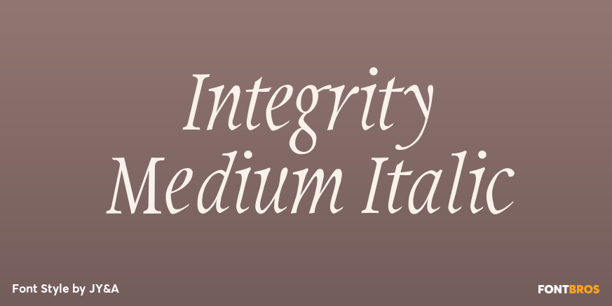 Integrity Medium Italic Poster