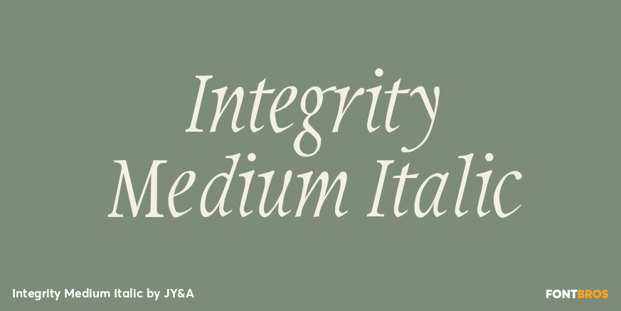 Integrity Medium Italic Poster