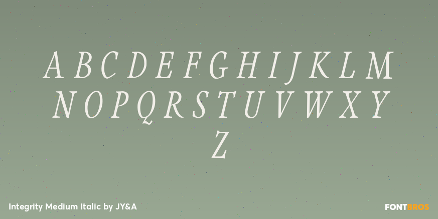 Integrity Medium Italic Font Poster #2