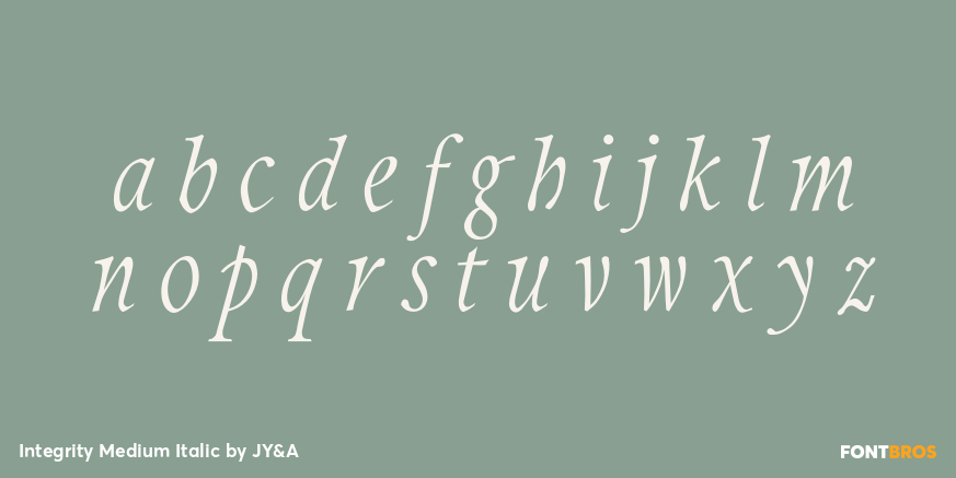Integrity Medium Italic Font Poster #1