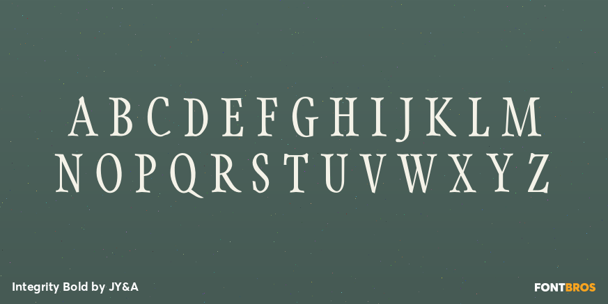 Integrity Bold Font Poster #2