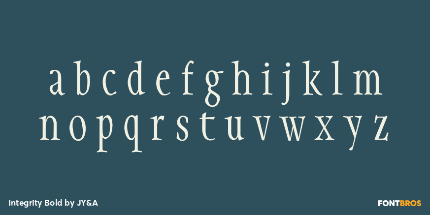 Integrity Bold Font Poster #3