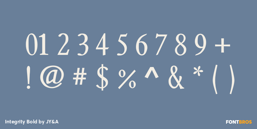 Integrity Bold Font Poster #4