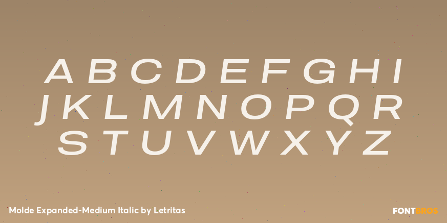 Molde Expanded-Medium Italic Font Poster #2