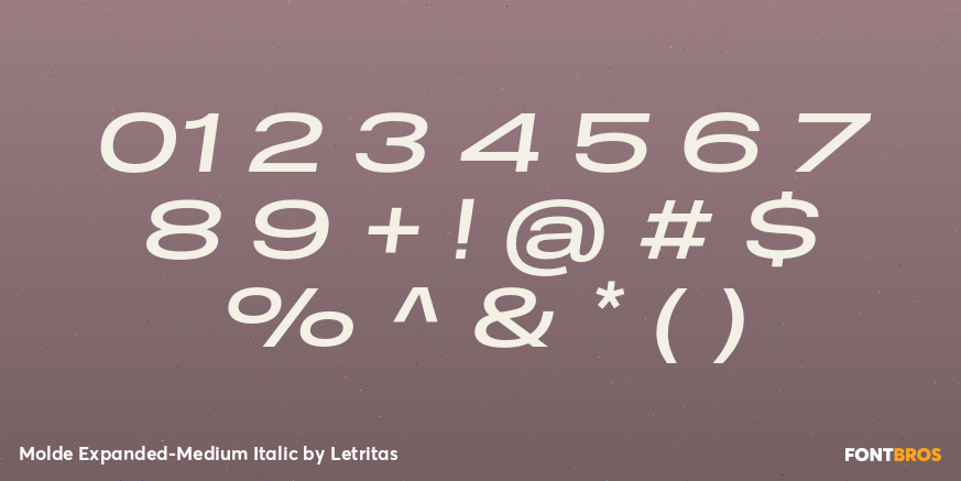 Molde Expanded-Medium Italic Font Poster #4