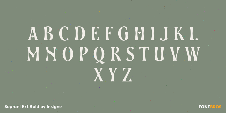 Soprani Ext Bold Font Poster #1