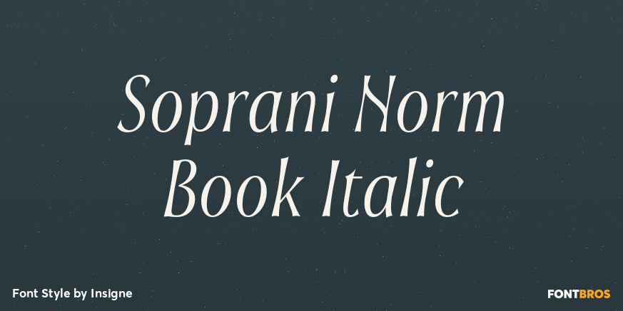 Soprani Norm Book Italic Poster