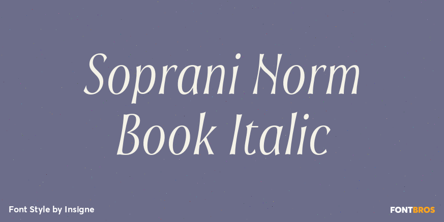 Soprani Norm Book Italic Poster