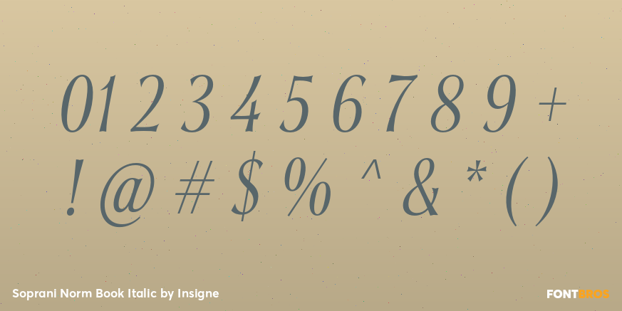 Soprani Norm Book Italic Font Poster #1