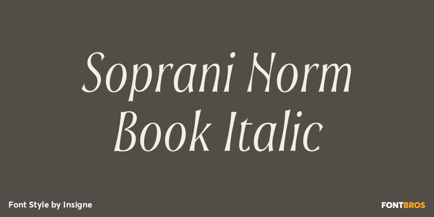 Soprani Norm Book Italic Poster