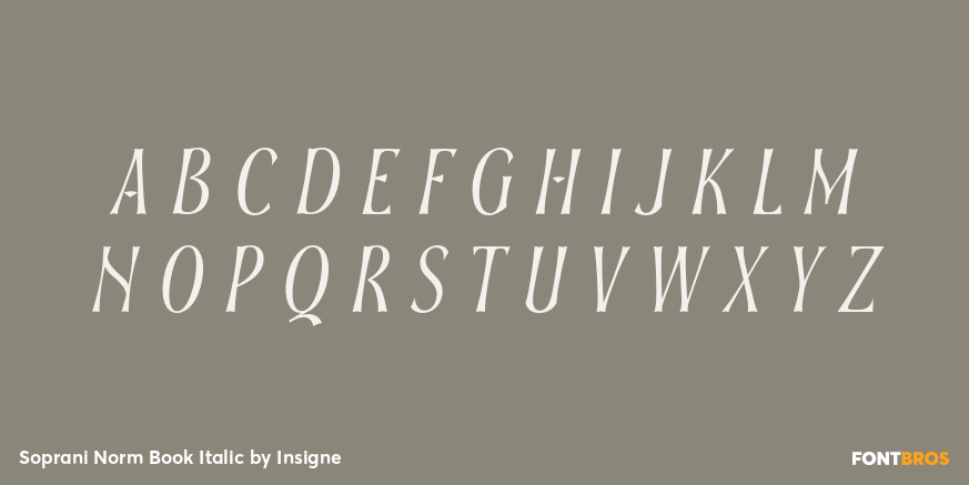 Soprani Norm Book Italic Font Poster #2