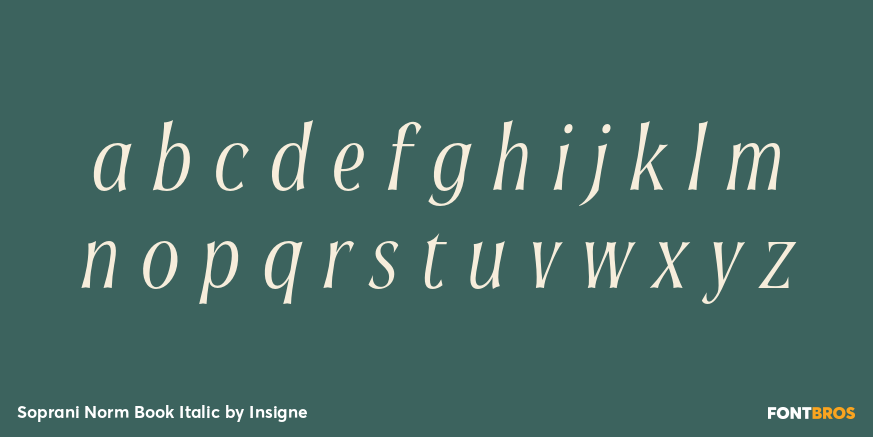 Soprani Norm Book Italic Font Poster #1