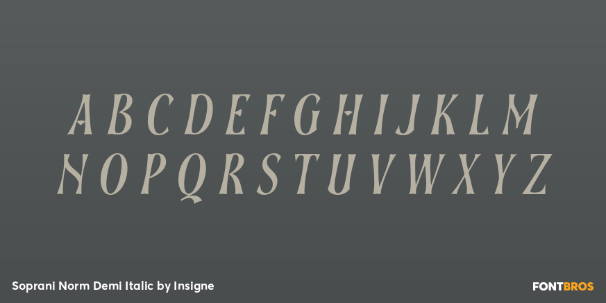 Soprani Norm Demi Italic Font Poster #1