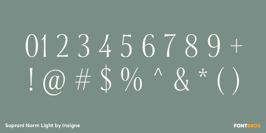 Soprani Norm Light Font Poster #1