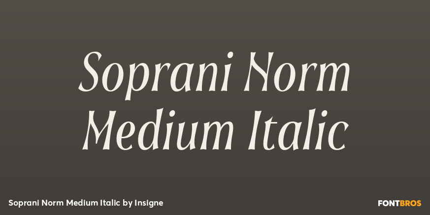 Soprani Norm Medium Italic Font Poster #1